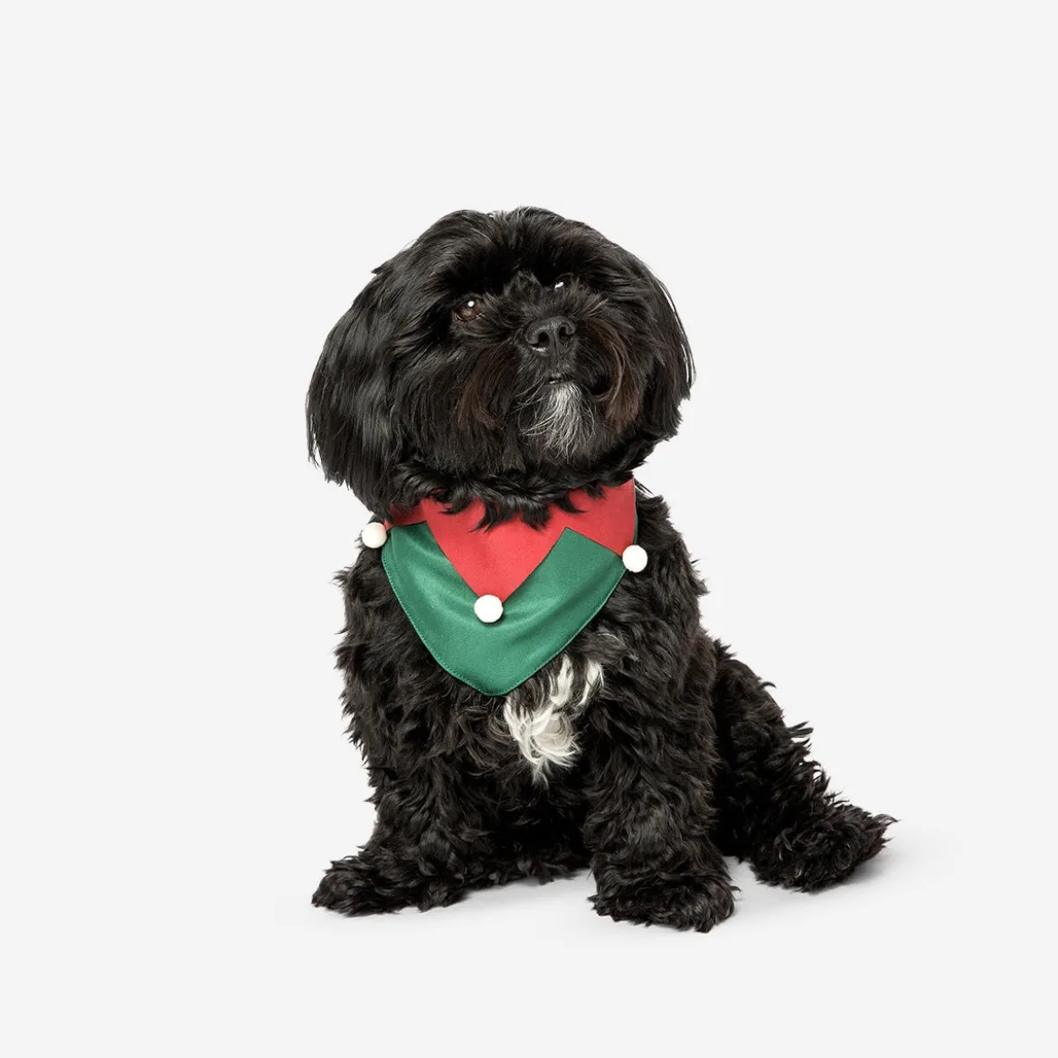 Christmas pet bandana