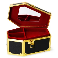 Coffin beauty case with divider