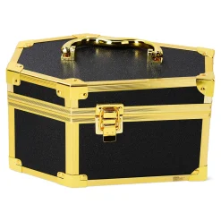 Coffin beauty case with divider
