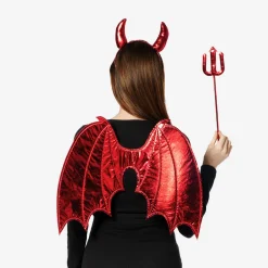 Costume. Adult