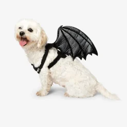 Costume for pets - Skeleton bat