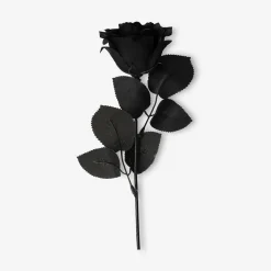 Decorative flower - Black rose