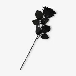 Decorative flower - Black rose