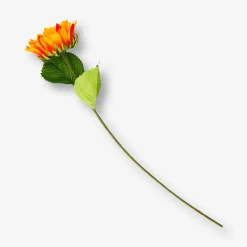 Decorative flower - Sunflower