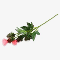 Decorative flower - Thistle
