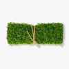 Decorative moss - 25x35 cm