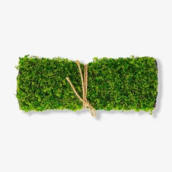 Decorative moss - 25x35 cm