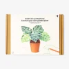 DIY crochet plant - Monstera