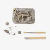 Excavation kit - Fossils