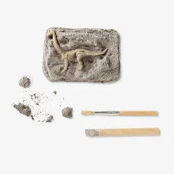 Excavation kit - Fossils