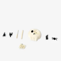 Excavation kit - Skull