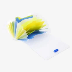 Flash cards organisers