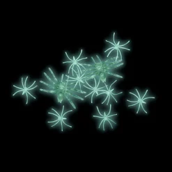 Glow in the dark spiders - 12 pcs