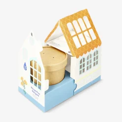 Grow kit - Marigold