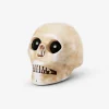 Haunted skull
