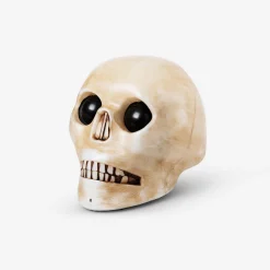 Haunted skull