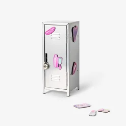 Mini metal locker with magnets