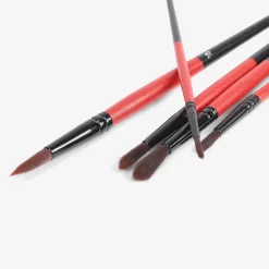 Paint Brushes - 5 pcs