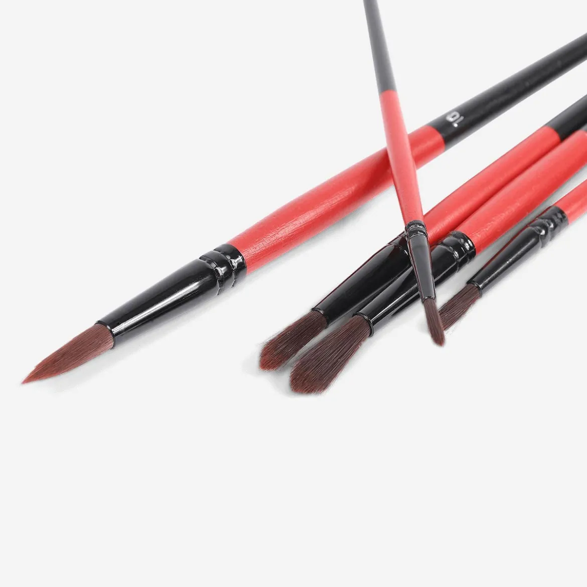 Paint Brushes - 5 pcs