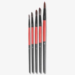 Paint Brushes - 5 pcs