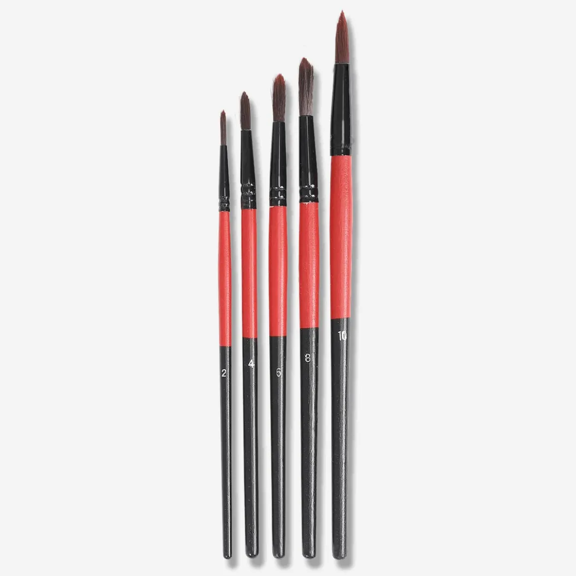 Paint Brushes - 5 pcs