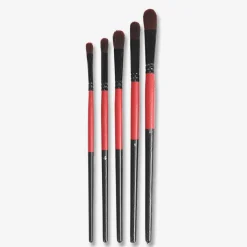 Paint Brushes - 5 pcs