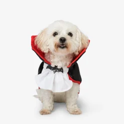 Pet costume - Dracula