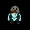 Pet costume - Glow in the dark skeleton