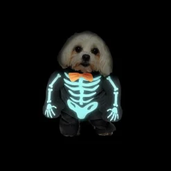 Pet costume - Glow in the dark skeleton
