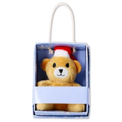 Plush toy - Mini teddy bear in a box