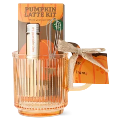 Pumpkin spice kit with mug, whisk and pumpkin spice powder