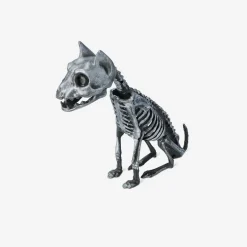 Skeleton cat
