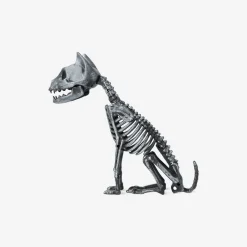 Skeleton cat