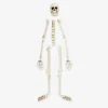 Skeleton set