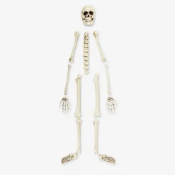 Skeleton set