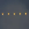 String lights - Brown squirrels