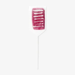 Sushi on a stick