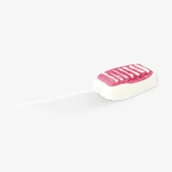 Sushi on a stick