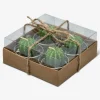 Tealights. 4 pcs