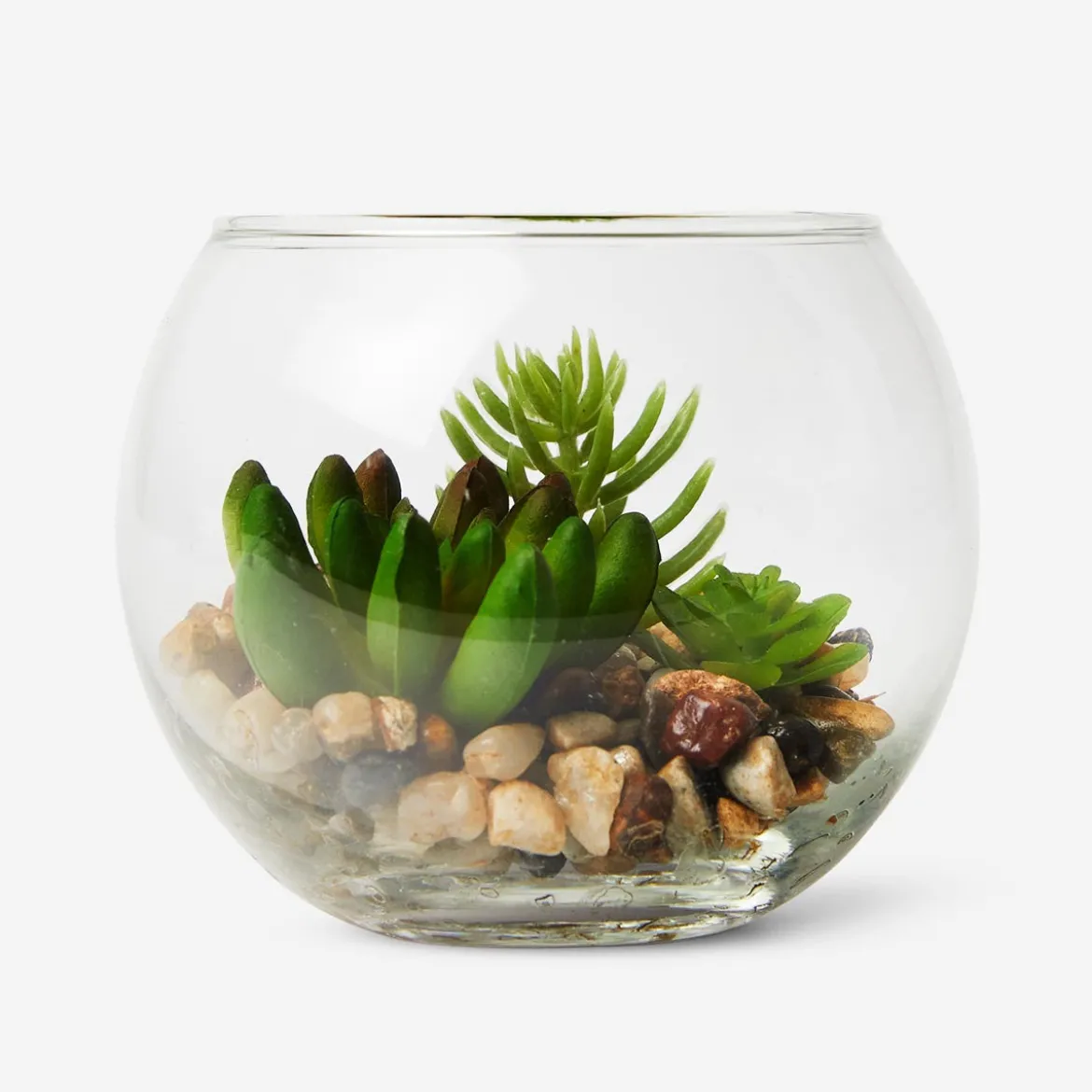 Terrarium