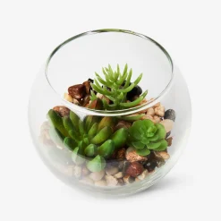 Terrarium