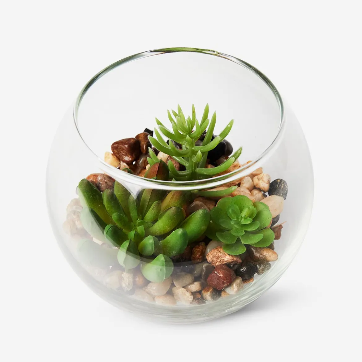 Terrarium