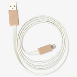 USB charging cable. Lightning stick
