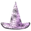 Witch's hat with spiderweb - For adults